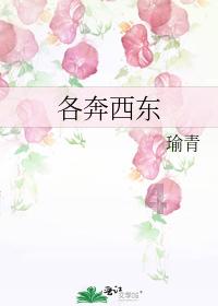 成都高新合作街道“微网实格” 遇见最美“微光”
